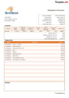 Account Statement Template