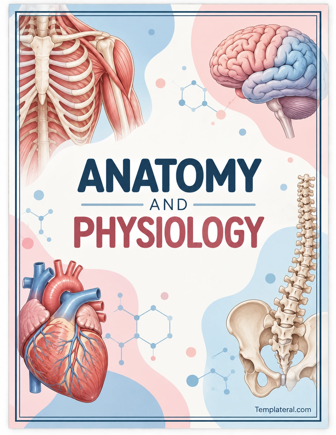 Anatomy And Physiology Binder Cover Template Printable Anatomy And Physiology Binder Cover Template with human anatomy illustrations