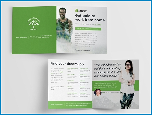 Bi Fold Brochure Example
