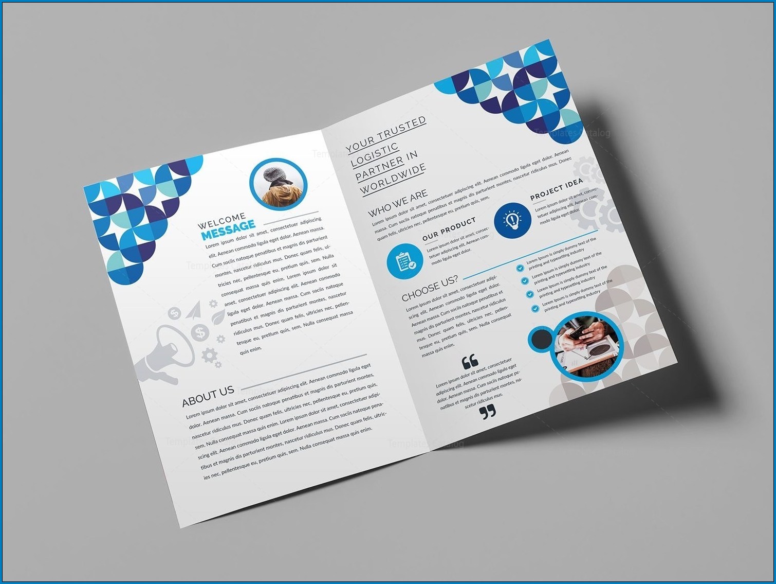 Bi Fold Brochure Sample