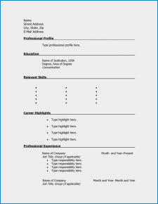 Blank Resume Template Sample
