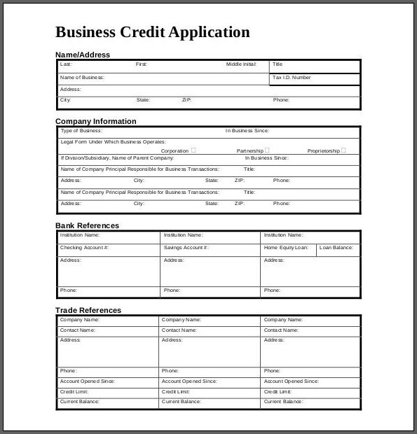 Business Credit Application Example