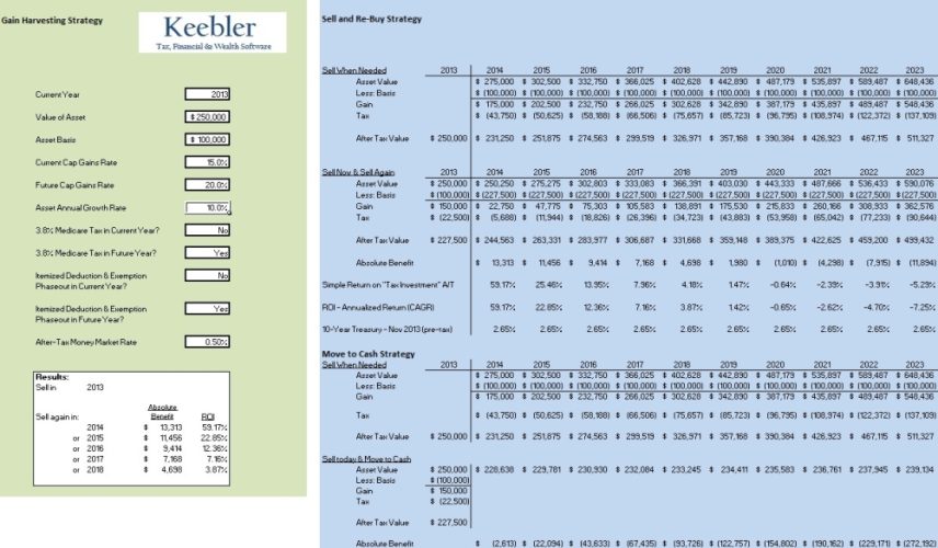 √ Capital Gains and Losses Calculator Template
