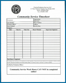 Community Service Timesheet Template Example