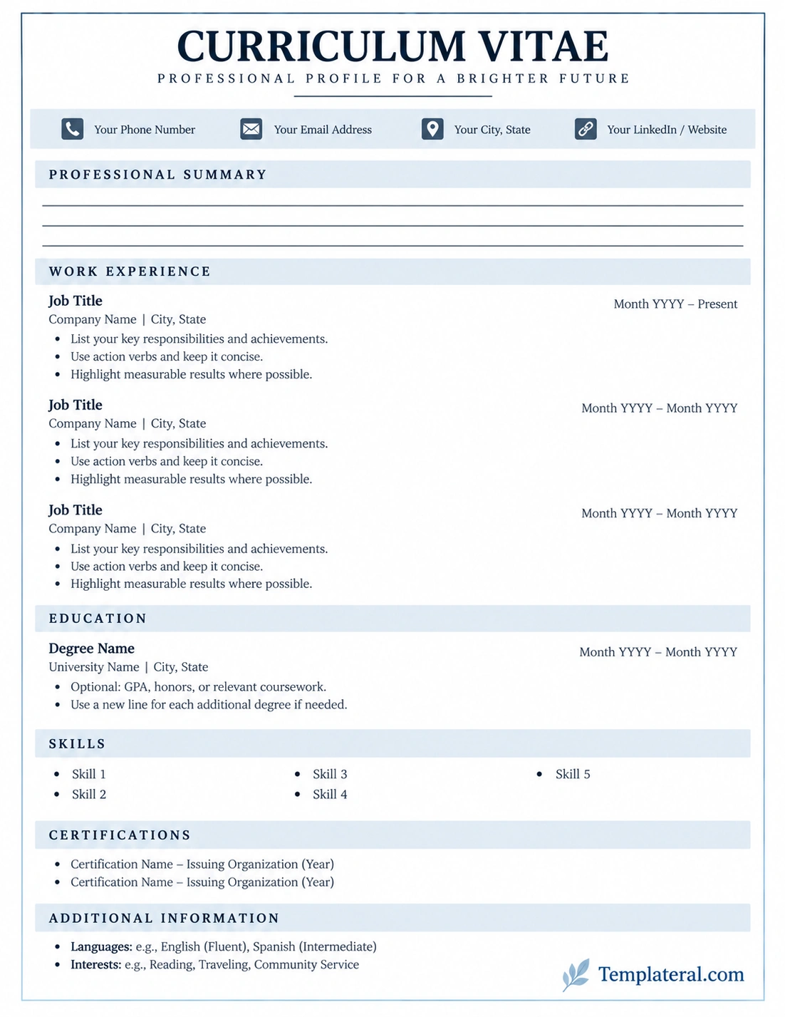 Curriculum Vitae Template Curriculum Vitae Template
