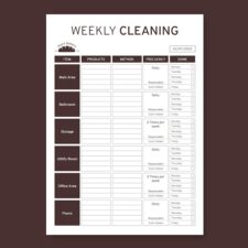 Daily Cleaning Schedule Template