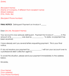 Debt Collection Letter Template