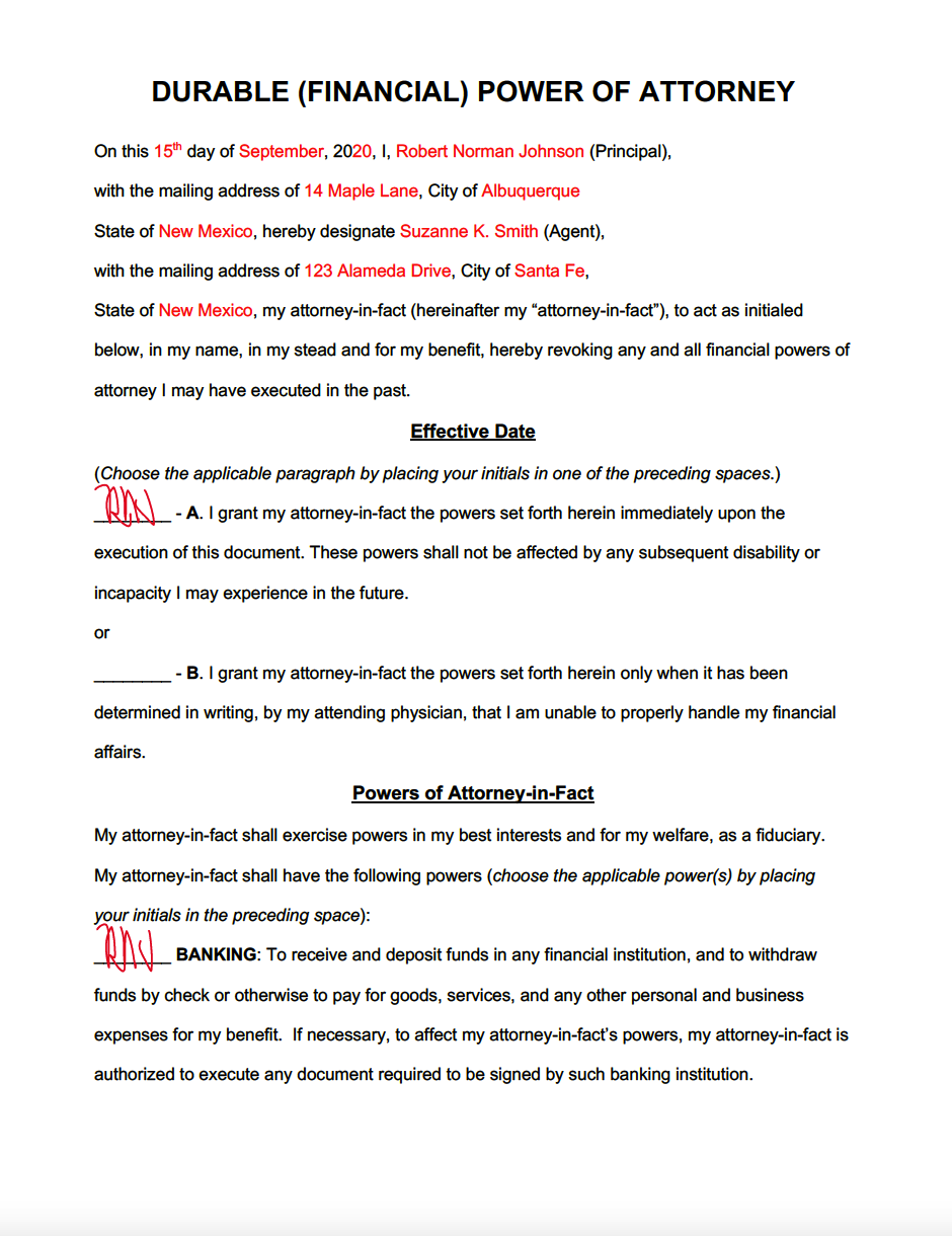 Durable Financial Power of Attorney Form Example
