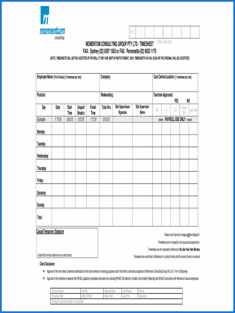 Example of Consultant Timesheet Template