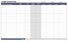 Example of Credit Control List Template