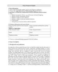 Example of Governmental Project Proposal Template