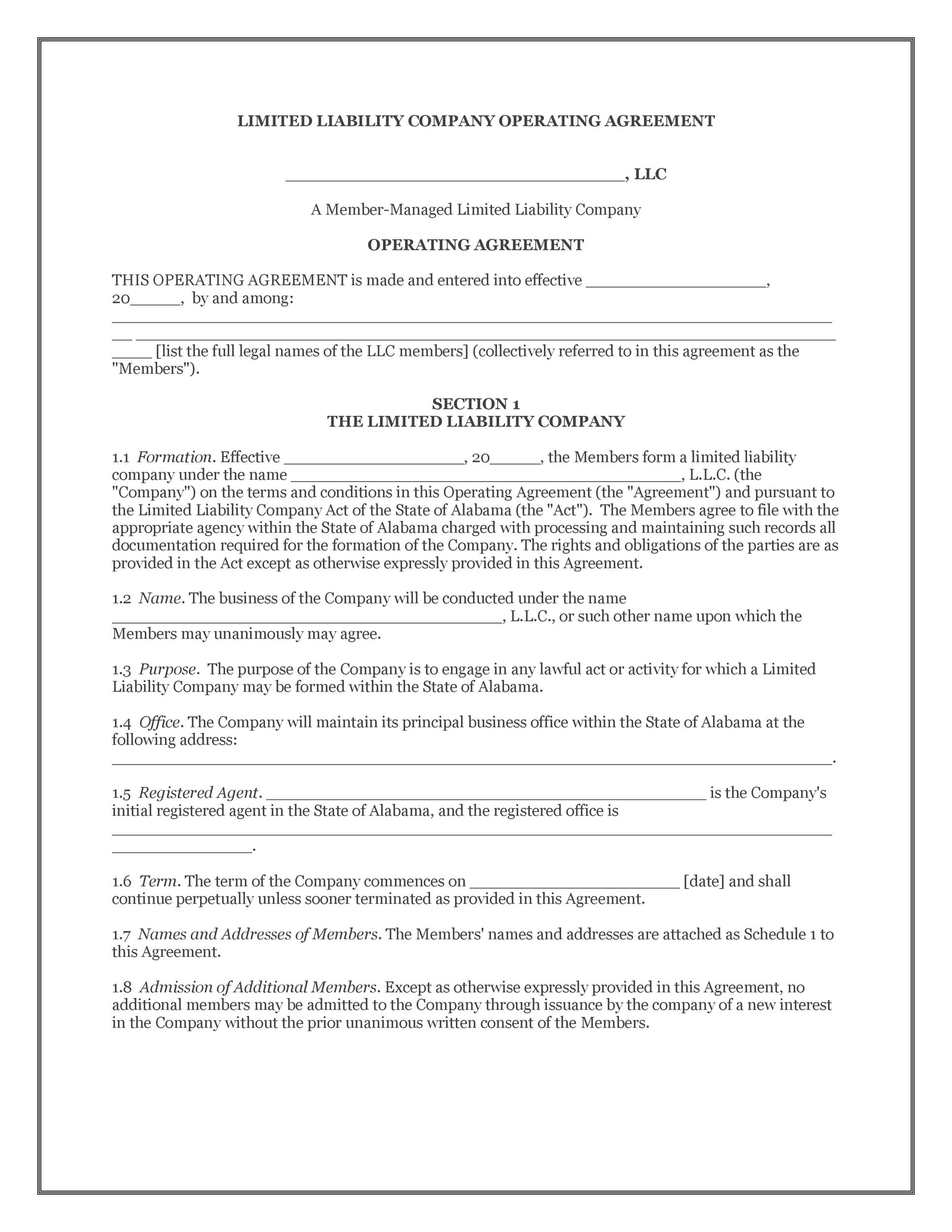 Example of LLC Operating Agreement Template