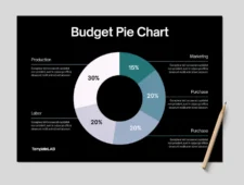 Example of Pie Chart Template