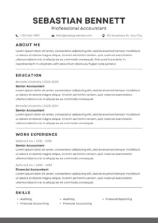 Example of Professional CV Template