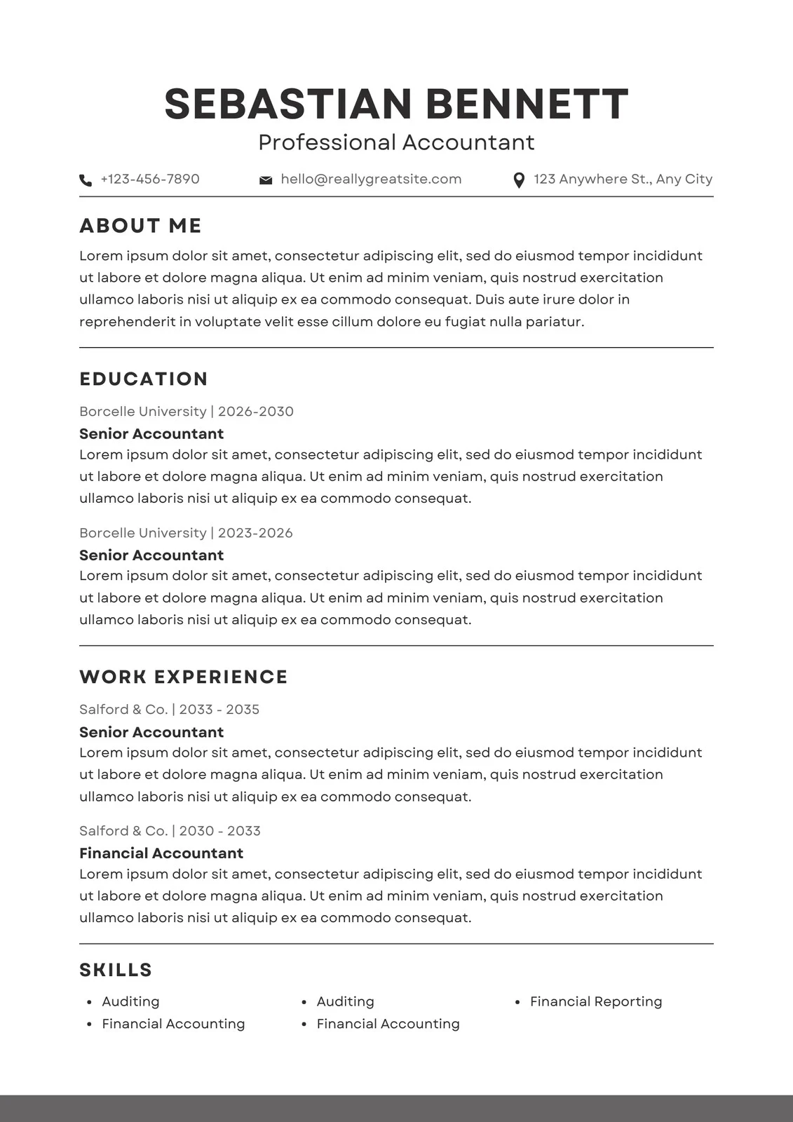 Example of Professional CV Template