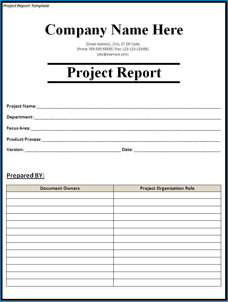 Example of Project Report Template