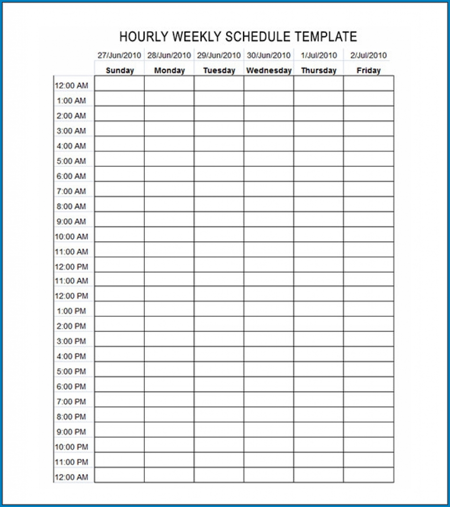 Free Hourly Schedule Template from www.templateral.com