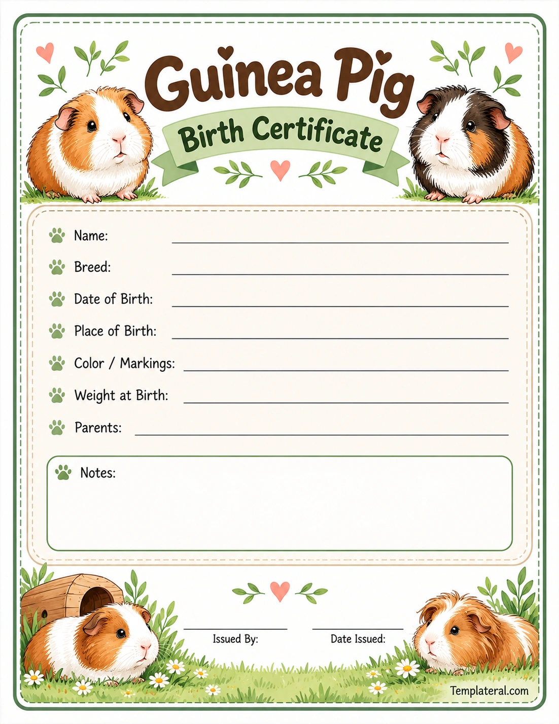 Guinea Pig Birth Certificate Template