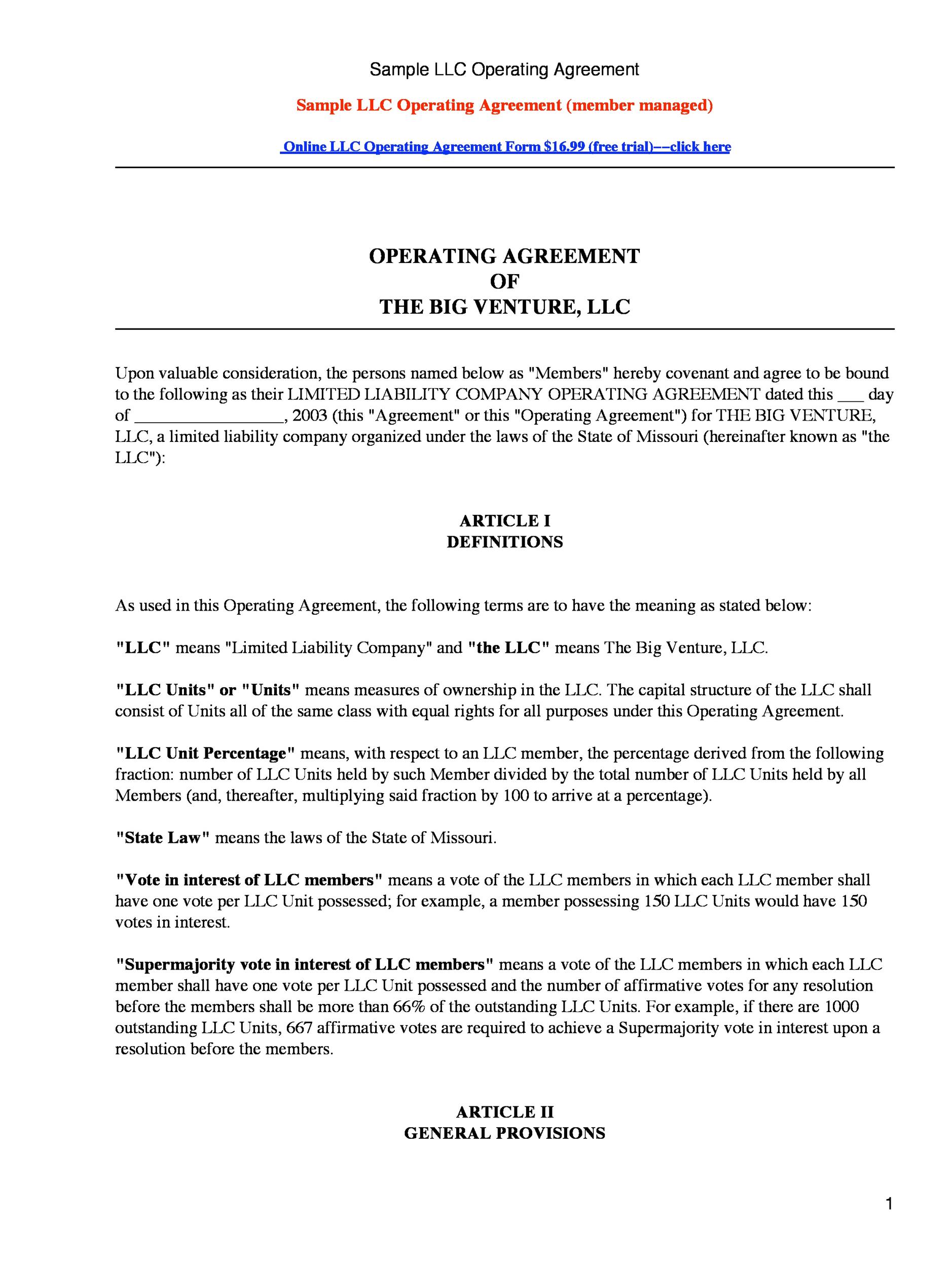 LLC Operating Agreement Template Example
