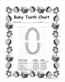 Losing Baby Teeth Chart Template