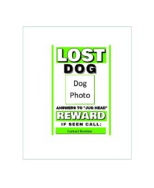 Lost Dog Flyer Template