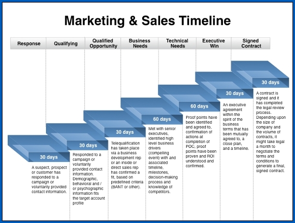 Marketing Timeline Template Sample