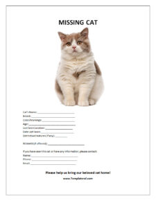 Missing Cat Poster Template Word