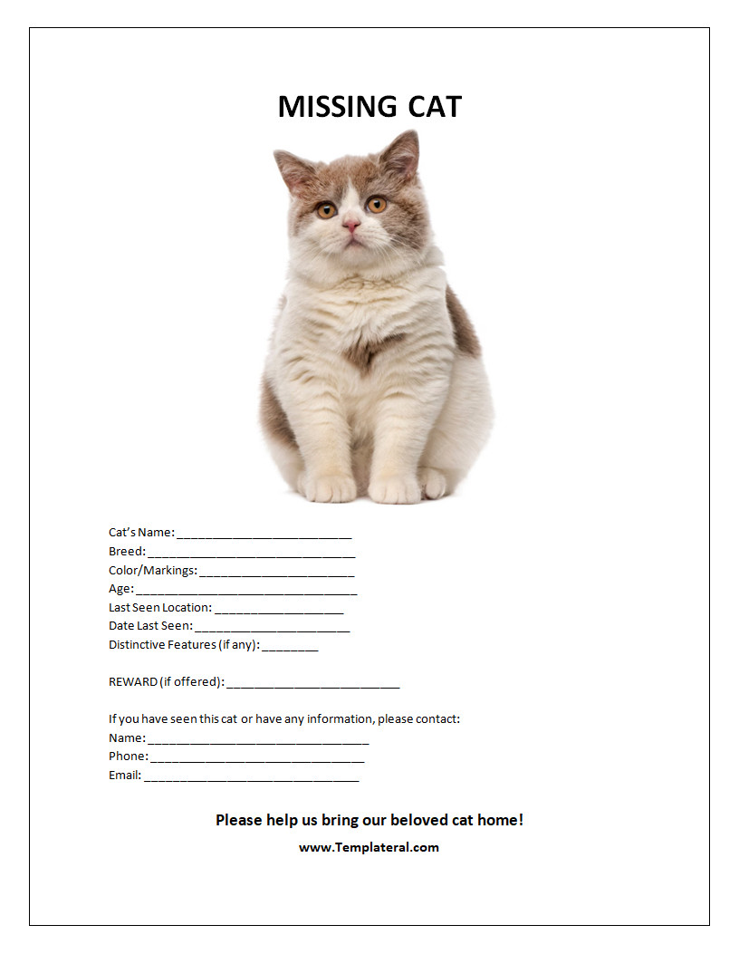 Missing Cat Poster Template Word