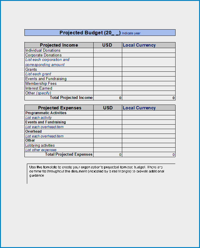 Free Printable Non Profit Budget Template