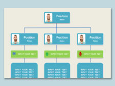 Organizational Chart Template