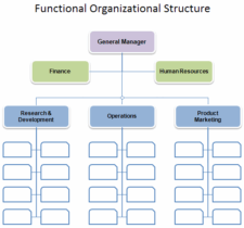 Organizational Chart Template