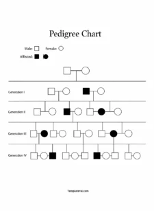 Simple Blank Pedigree Chart Template PDF