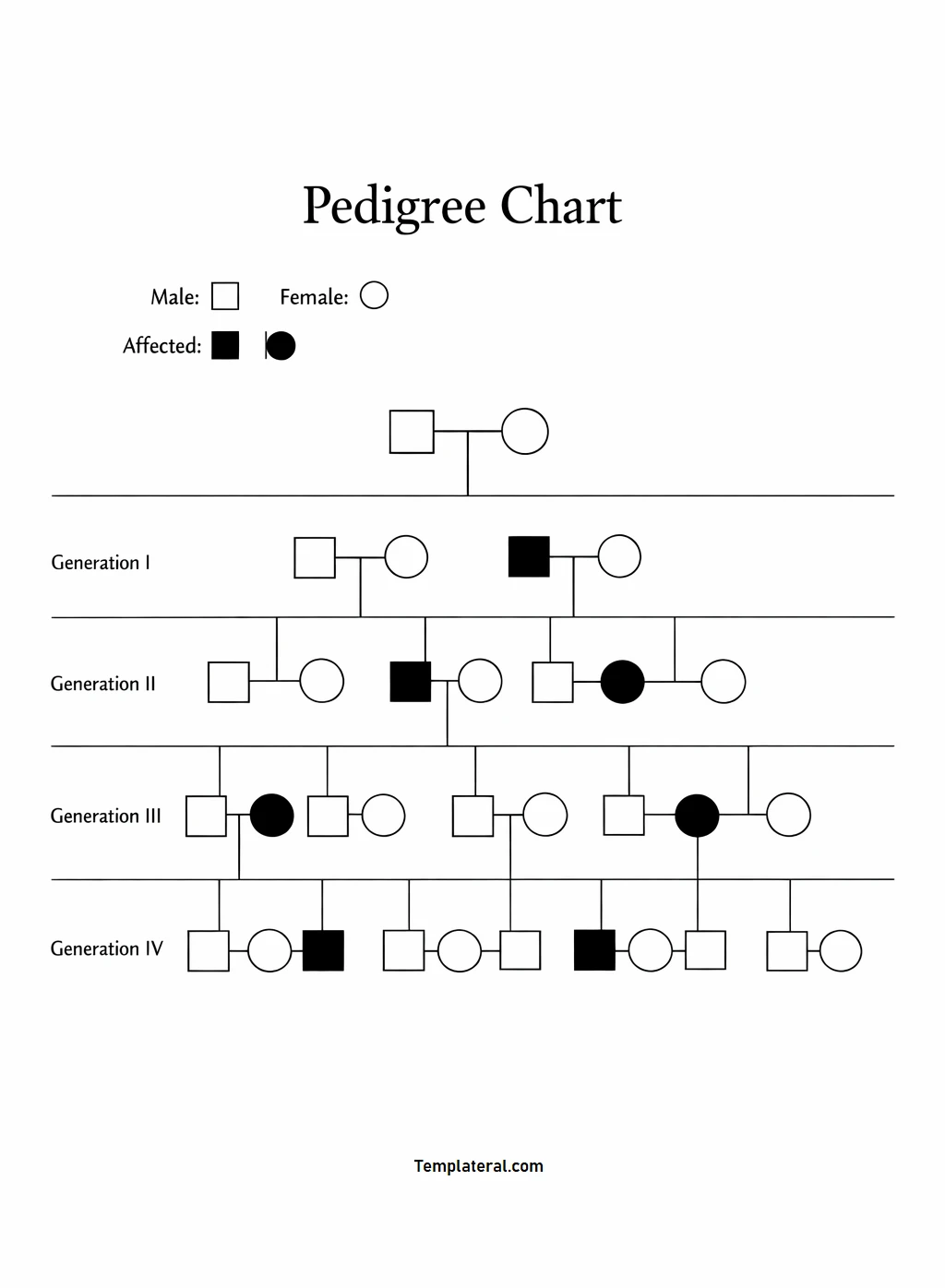Pedigree Chart Template Simple Blank Pedigree Chart Template PDF