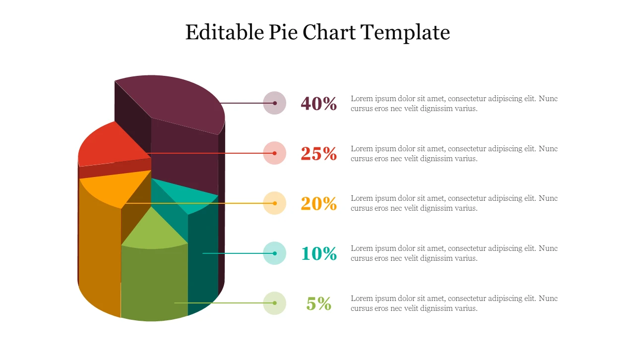 Pie Chart Template Example
