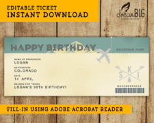 Plane Ticket Template