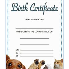 Printable Pet Birth Certificate Template Example Templateral