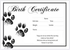 Printable Pet Birth Certificate Template Sample