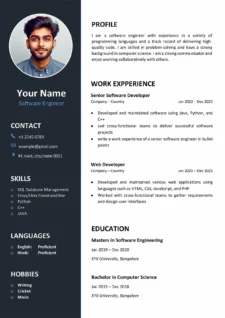 Professional CV Template Example