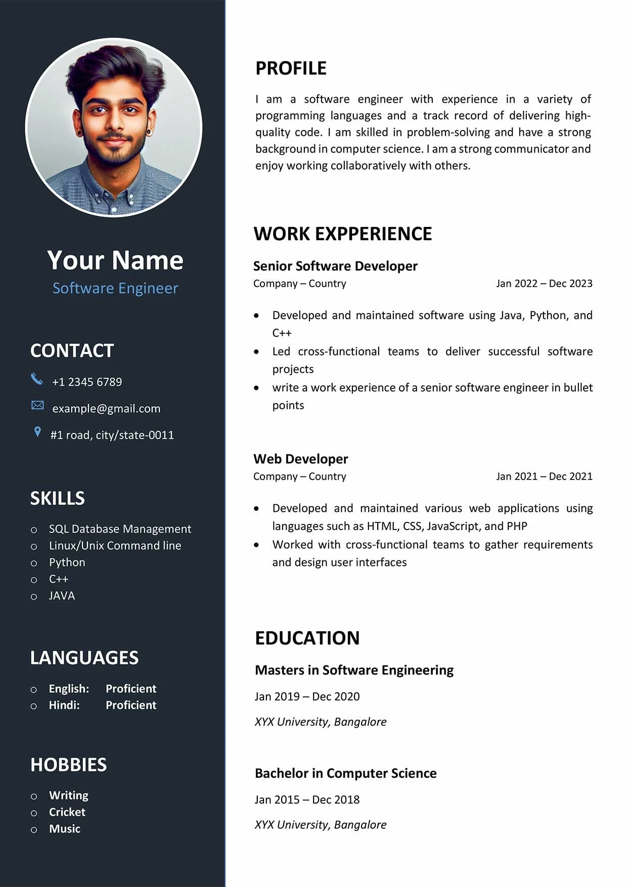 Professional CV Template Example