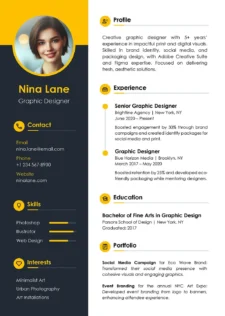 Professional CV Template Sample
