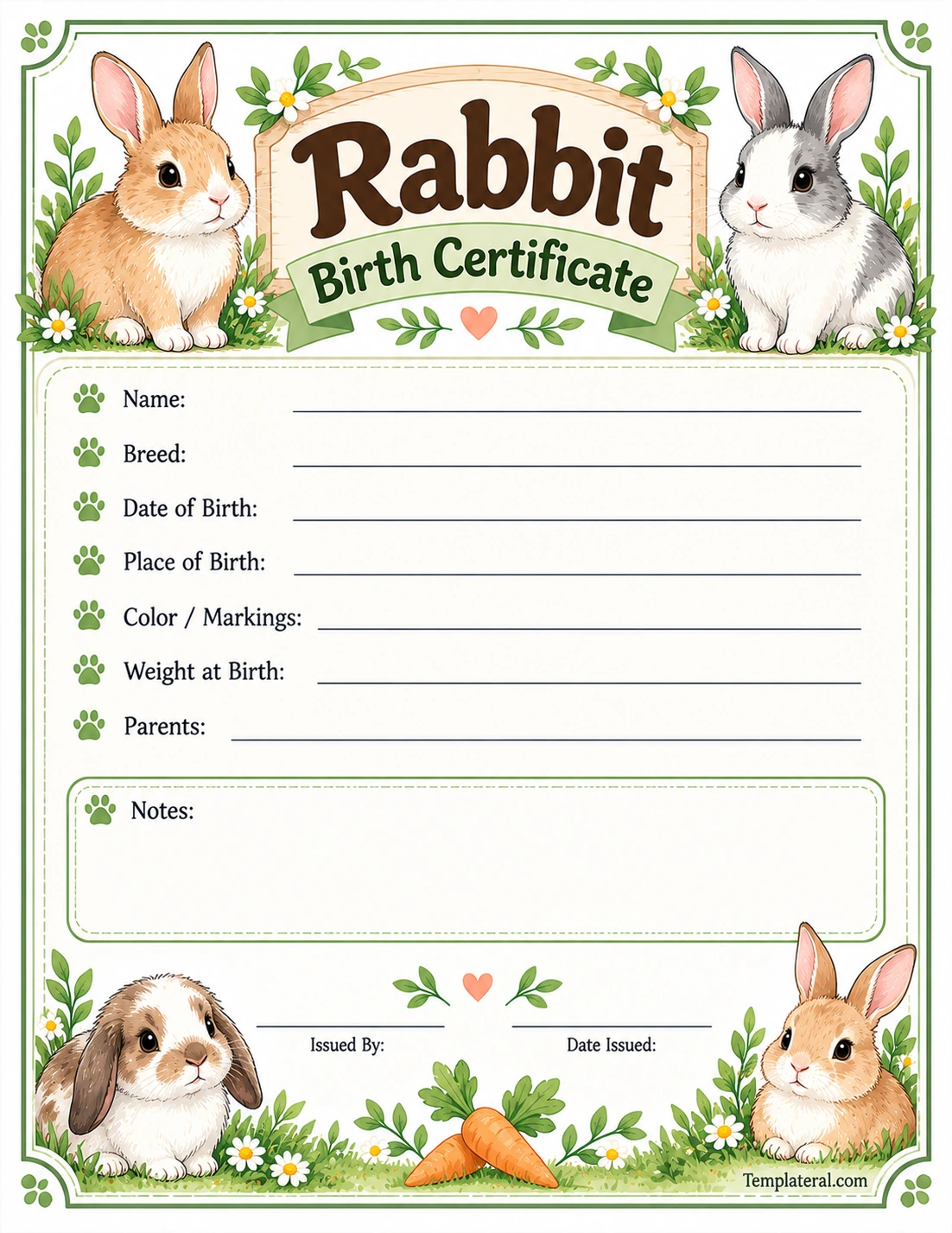 Rabbit Birth Certificate Template Rabbit Birth Certificate Template