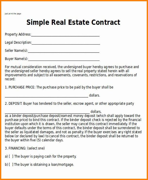 Real Estate Sale Agreement Template Example Real Estate Sale Agreement Template Example
