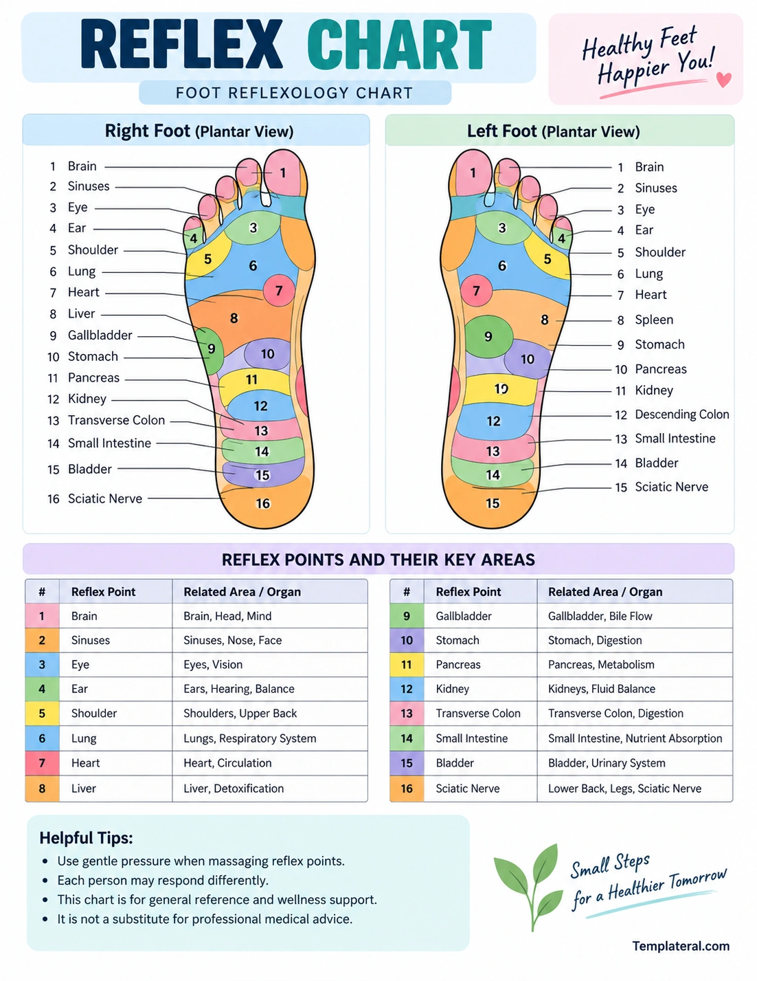 Reflex Chart Printable reflex chart showing foot reflexology points and labeled zones