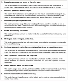 Sales Business Plan Template Example