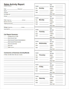 Sales Call Activity Report Template