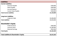 Sample of Asset And Liability Report Balance Sheet Template