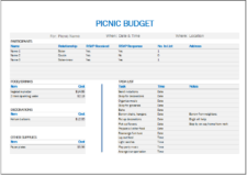 Sample of Picnic Money Management Template