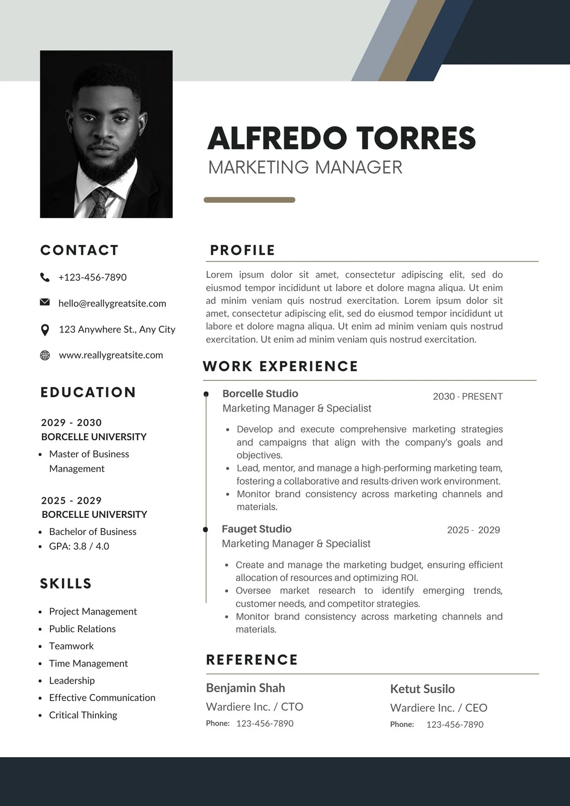 Sample of Professional CV Template