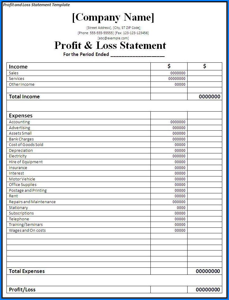 Sample of Profit And Loss Statement Template
