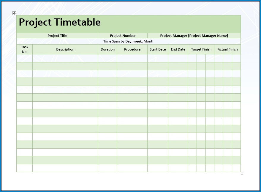 Sample of Project Timetable Template